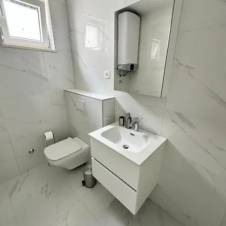 Beautiful New Palmtree *