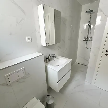 Beautiful New Palmtree Vir