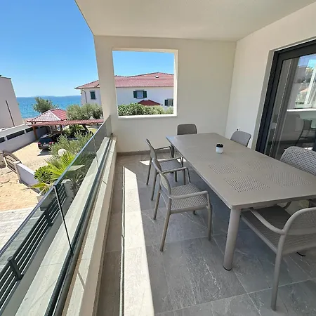 Beautiful New Palmtree Vir