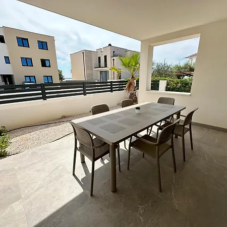 Beautiful New Palmtree