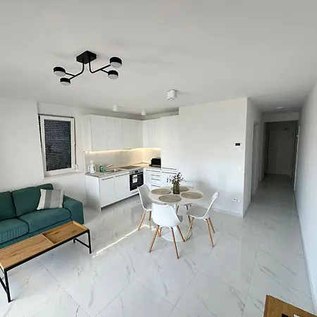 Beautiful New Palmtree Vir