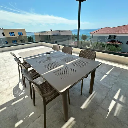 Beautiful New Palmtree * Vir