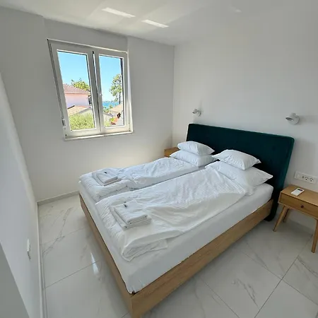 Beautiful New Palmtree