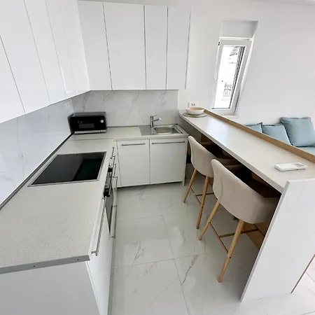 Beautiful New Palmtree Vir