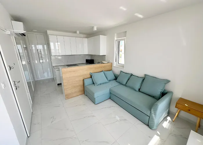 Beautiful New Palmtree