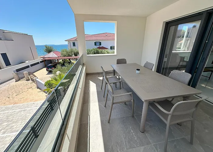 Beautiful New Palmtree Vir