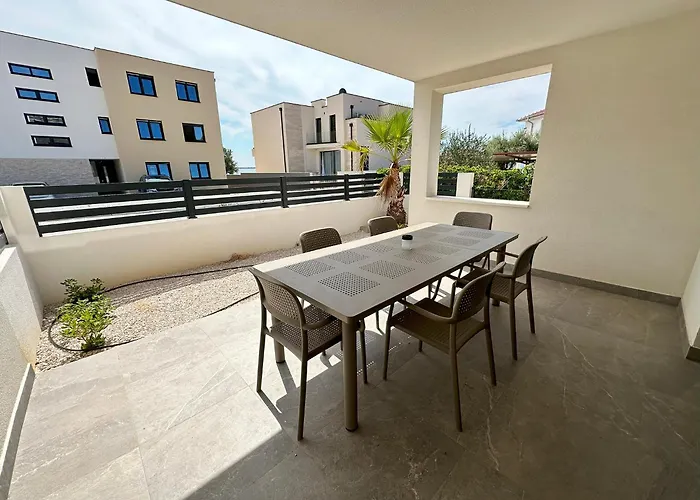 Beautiful New Palmtree