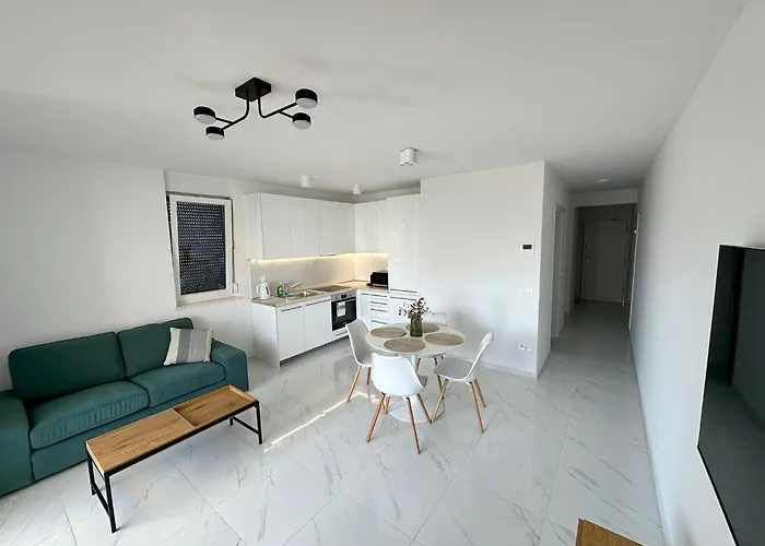 Beautiful New Palmtree Vir