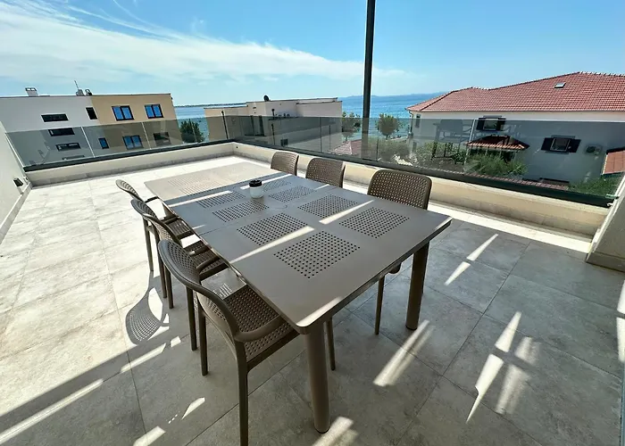 Beautiful New Palmtree * Vir