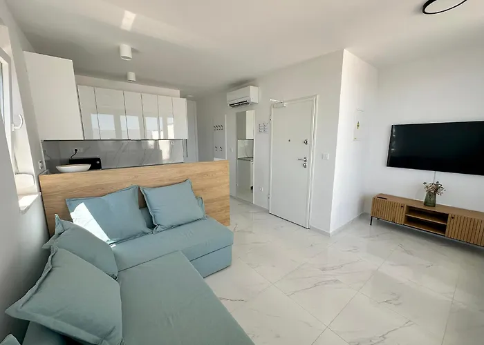 Beautiful New Palmtree * Vir