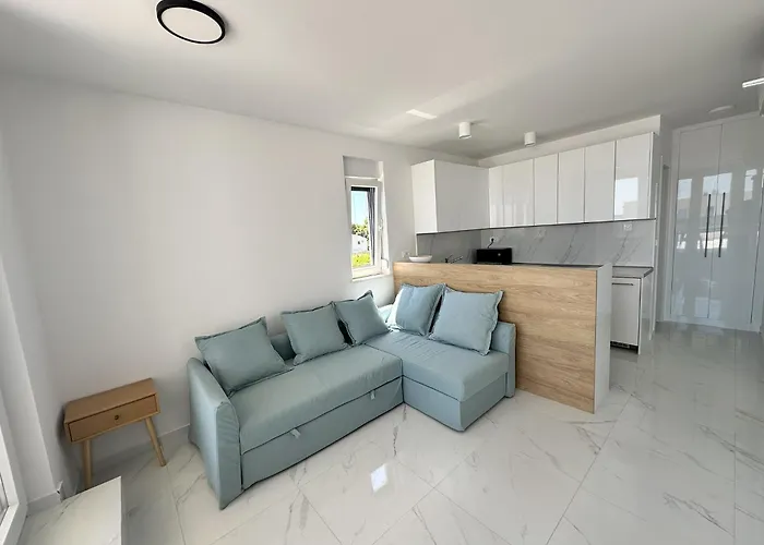 Beautiful New Palmtree