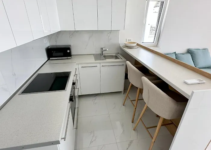 Beautiful New Palmtree Vir