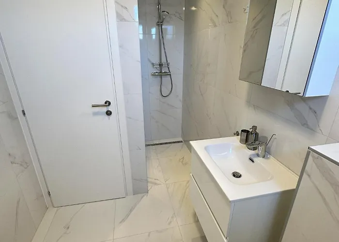 Beautiful New Palmtree Vir