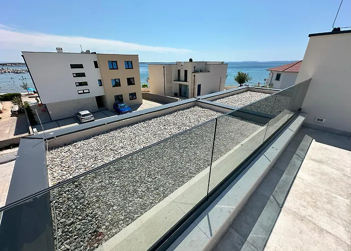 Beautiful New Palmtree Apartment