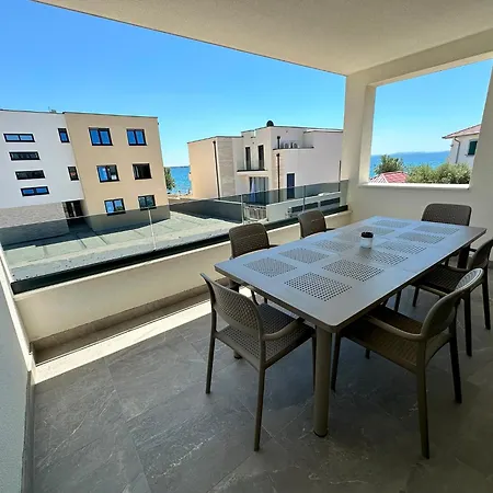 Beautiful New Palmtree *